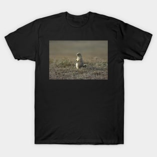 Prairie Dog T-Shirt